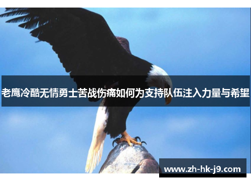 老鹰冷酷无情勇士苦战伤痛如何为支持队伍注入力量与希望 老鹰冷酷无情勇士苦战伤痛如何为支持队伍注入力量与希望