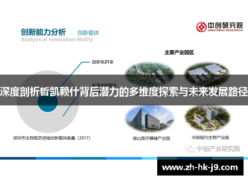 深度剖析哲凯赖什背后潜力的多维度探索与未来发展路径